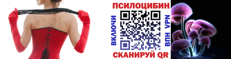 Купить закладки  Пойковский  Галлюциногенные грибы Magic Shrooms 